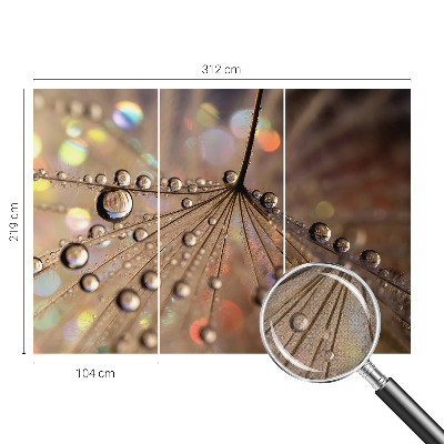 54D-Fototapete fürs Wohnzimmer Perlentropfen