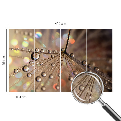 54D-Fototapete fürs Wohnzimmer Perlentropfen