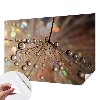 54D-Fototapete fürs Wohnzimmer Perlentropfen