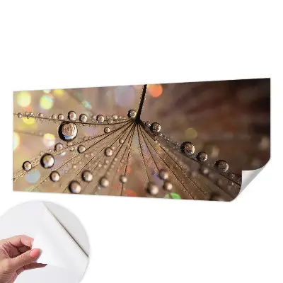 54D-Fototapete fürs Wohnzimmer mit Perlentropfen-Motiv