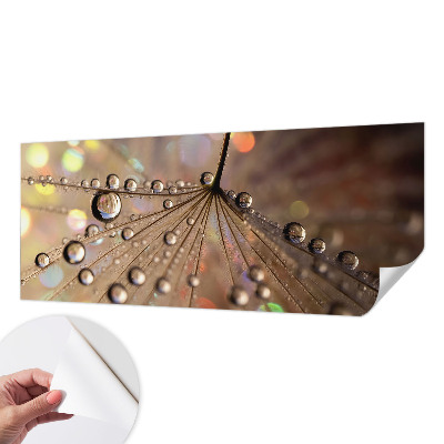 54D-Fototapete fürs Wohnzimmer Perlentropfen