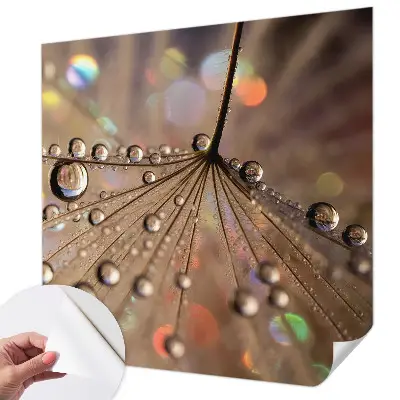 54D-Fototapete fürs Wohnzimmer mit Perlentropfen-Motiv