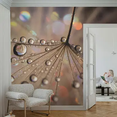 54D-Fototapete fürs Wohnzimmer mit Perlentropfen-Motiv
