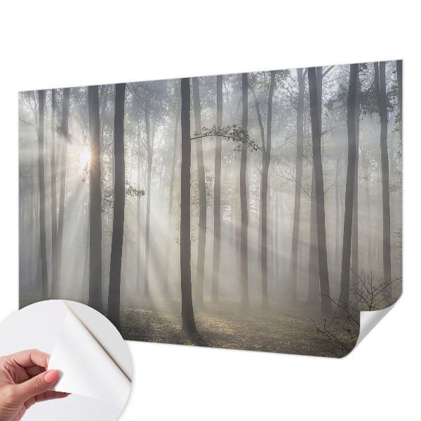 Hochwertige Bildtapete Ätherischer Wald