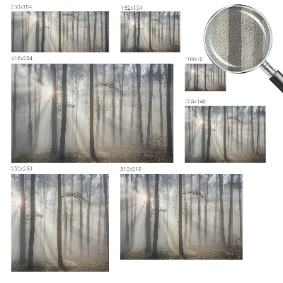 Hochwertige Bildtapete Ätherischer Wald