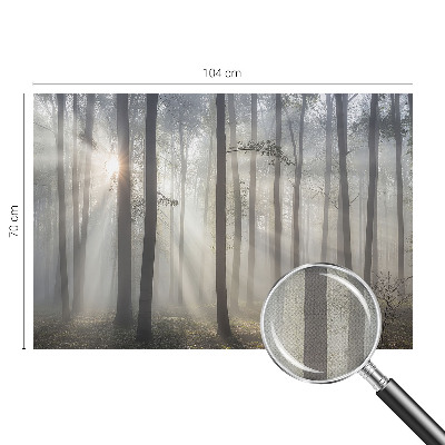 Hochwertige Bildtapete Ätherischer Wald