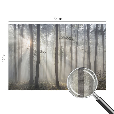 Hochwertige Bildtapete Ätherischer Wald