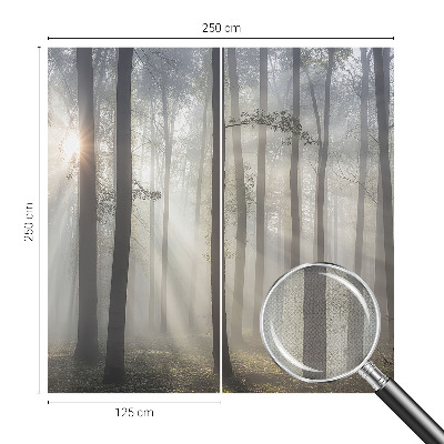 Hochwertige Bildtapete Ätherischer Wald