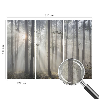 Hochwertige Bildtapete Ätherischer Wald