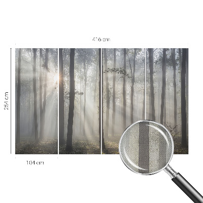 Hochwertige Bildtapete Ätherischer Wald