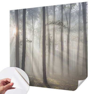 Hochwertige Bildtapete Ätherischer Wald