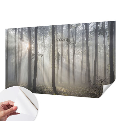 Hochwertige Bildtapete Ätherischer Wald