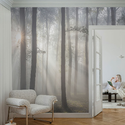 Hochwertige Bildtapete Ätherischer Wald