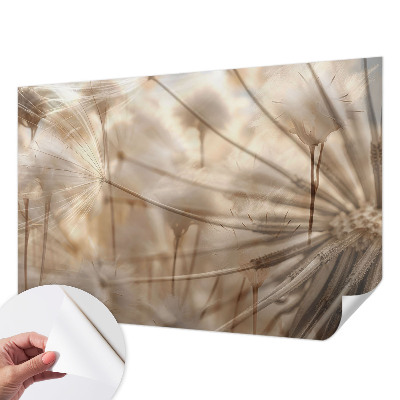 Fototapete nach Maß Zarte Löwenzahnblüten