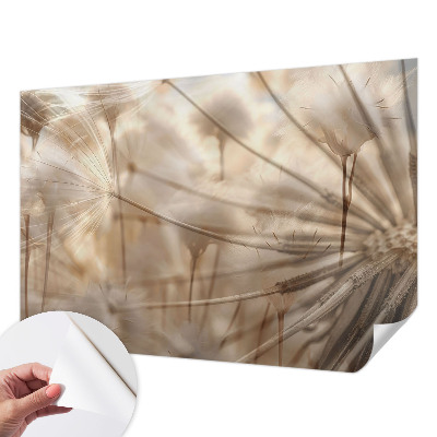 Fototapete nach Maß Zarte Löwenzahnblüten