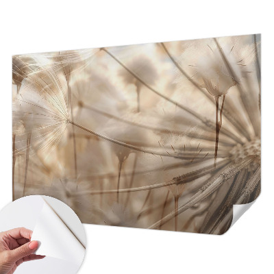 Fototapete nach Maß Zarte Löwenzahnblüten