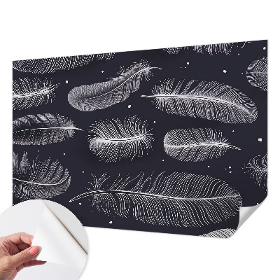 Selbstklebende Fototapete fürs Wohnzimmer Feine Federn