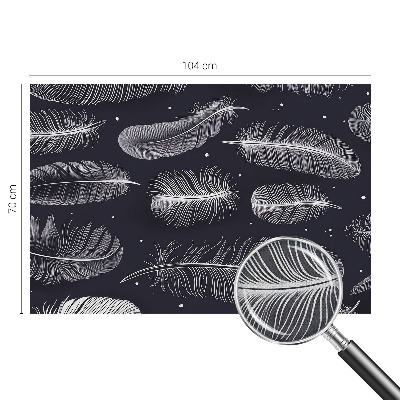 Selbstklebende Fototapete fürs Wohnzimmer Feine Federn