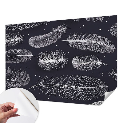 Selbstklebende Fototapete fürs Wohnzimmer Feine Federn