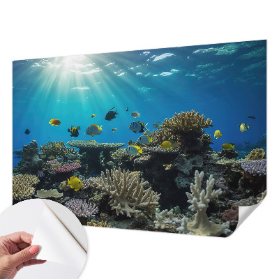 Selbstklebende Fototapete fürs Kinderzimmer Unterwasserwelt