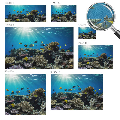 Selbstklebende Fototapete fürs Kinderzimmer Unterwasserwelt