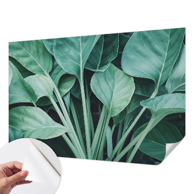 58D-Fototapete fürs Wohnzimmer mit grünem Naturmotiv