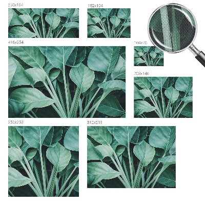 58D-Fototapete fürs Wohnzimmer Grüne Natur