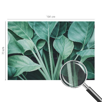 58D-Fototapete fürs Wohnzimmer Grüne Natur