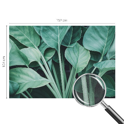 58D-Fototapete fürs Wohnzimmer mit grünem Naturmotiv