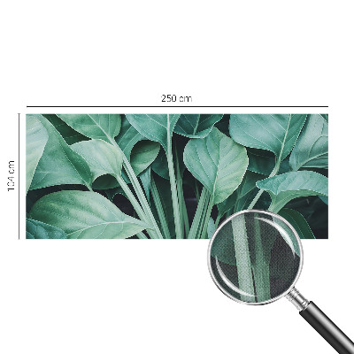 58D-Fototapete fürs Wohnzimmer mit grünem Naturmotiv