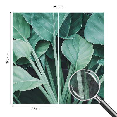 58D-Fototapete fürs Wohnzimmer mit grünem Naturmotiv