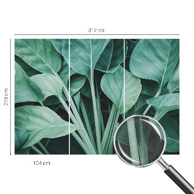 58D-Fototapete fürs Wohnzimmer mit grünem Naturmotiv