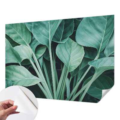 58D-Fototapete fürs Wohnzimmer mit grünem Naturmotiv