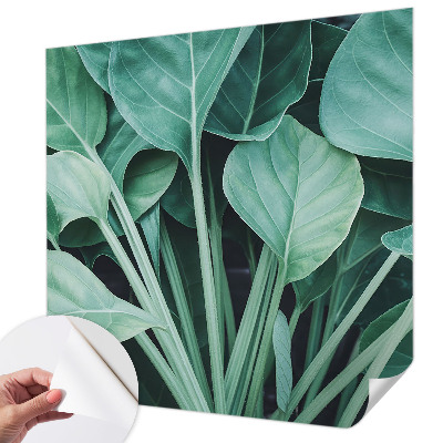 58D-Fototapete fürs Wohnzimmer mit grünem Naturmotiv
