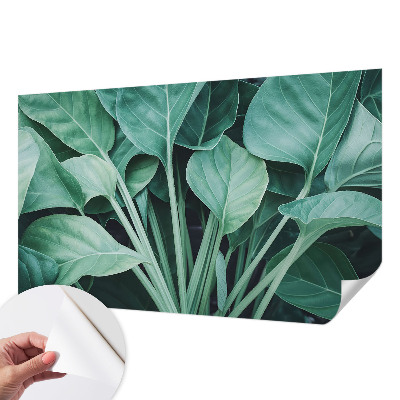 58D-Fototapete fürs Wohnzimmer mit grünem Naturmotiv