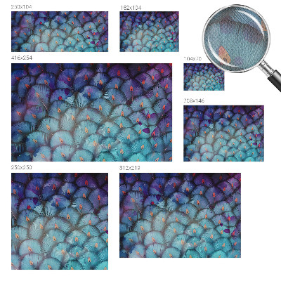Fototapete nach Maß Bunte Federn