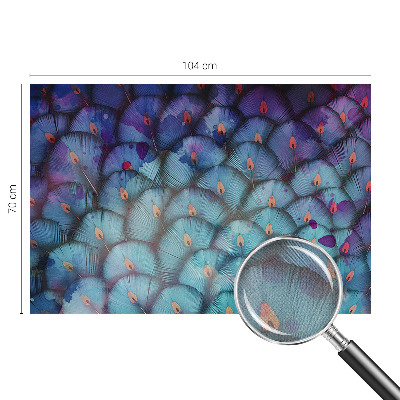 Fototapete nach Maß Bunte Federn