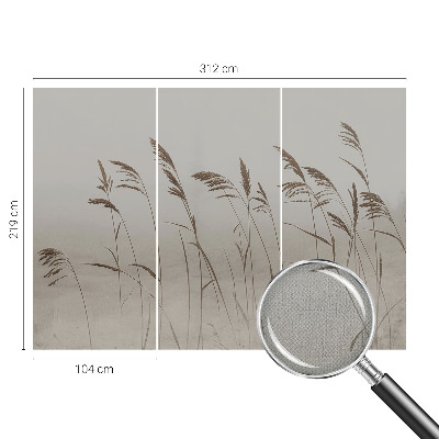 Moderne Fototapete nach Maß Gräser im Nebel