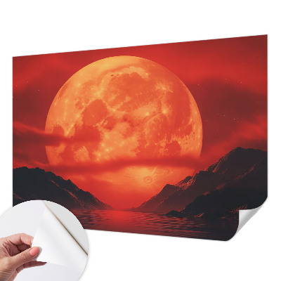 62D-Fototapete mit Motiv eines nächtlichen Himmelsphänomens