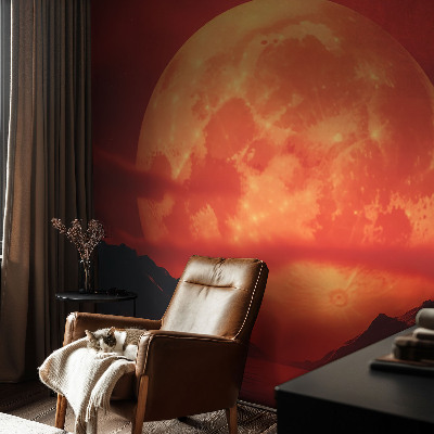 62D-Fototapete nächtliches Phänomen