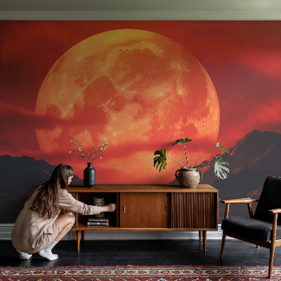 62D-Fototapete nächtliches Phänomen