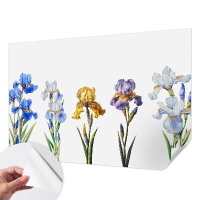 63D-Fototapete mit einem Motiv aus Irisblüten