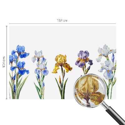 63D-Fototapete Irisblüten