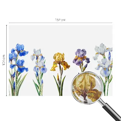 63D-Fototapete mit einem Motiv aus Irisblüten