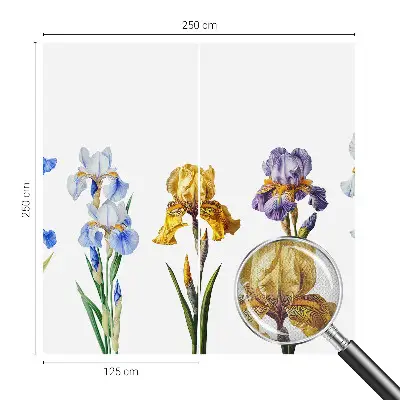 63D-Fototapete mit einem Motiv aus Irisblüten