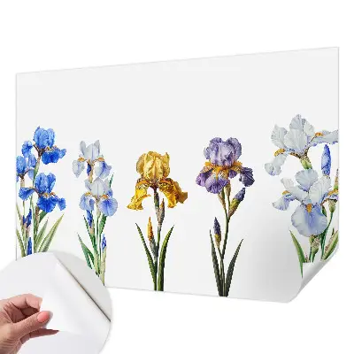 63D-Fototapete mit einem Motiv aus Irisblüten