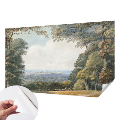 Hochwertige Bildtapete mit einer bewaldeten Landschaft als Motiv