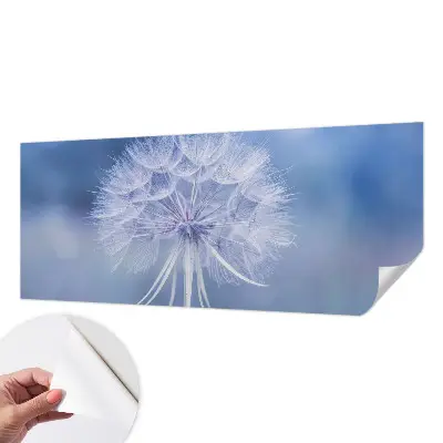 Moderne Fototapete nach Maß mit dem Motiv „Blaue Delikatesse“
