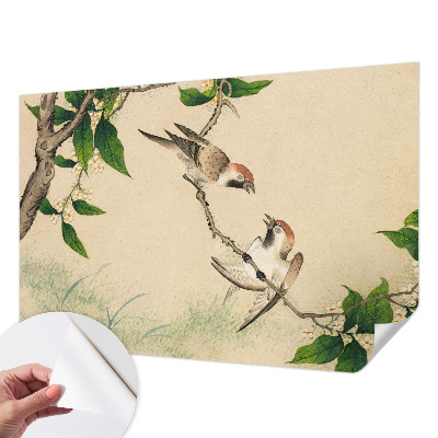 Moderne Fototapete nach Maß Klassisches Duo