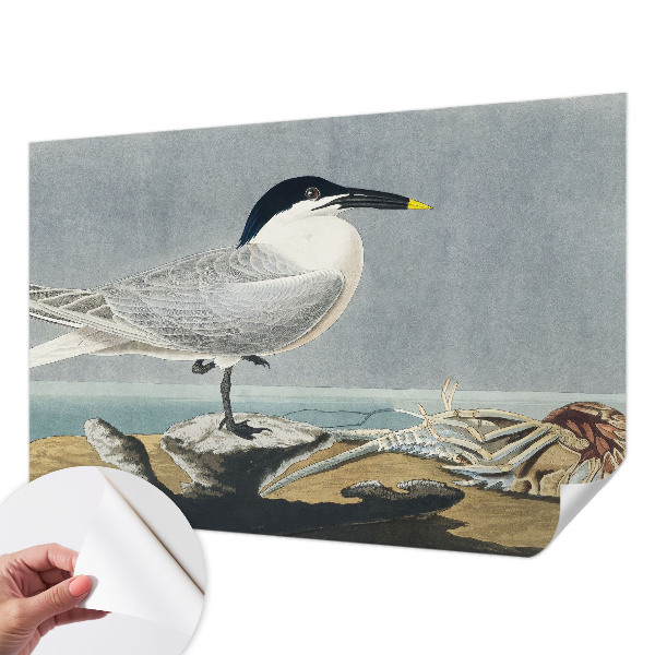 Selbstklebende Fototapete fürs Kinderzimmer mit einem ornithologischen Motiv